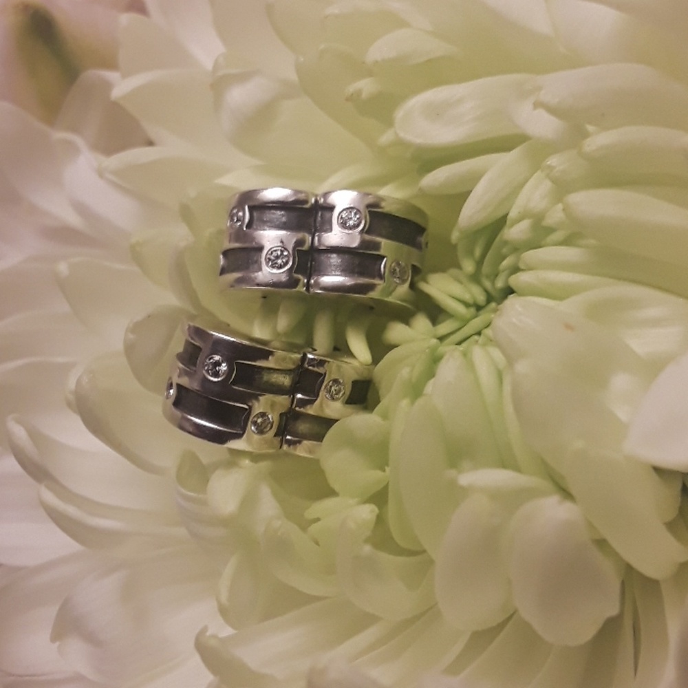 Sparkling Abstract paired clips ( nwot )